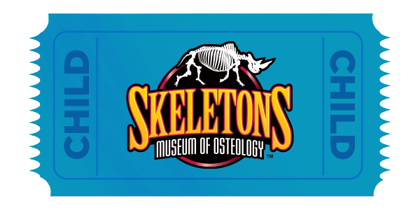 Online Ticket Sale - Child Admission
