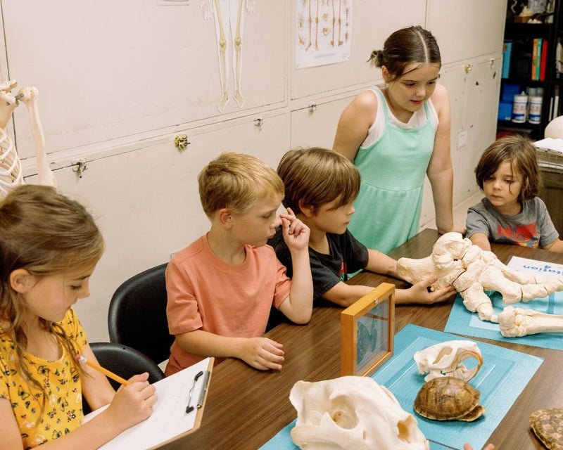 Children learning about animals in a classroom setting