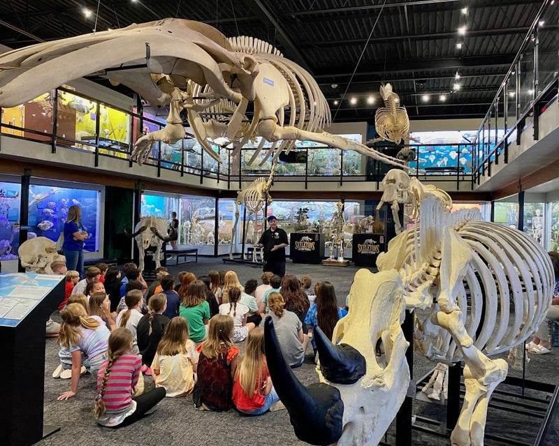 Children observing large animal skeletons in a museum setting