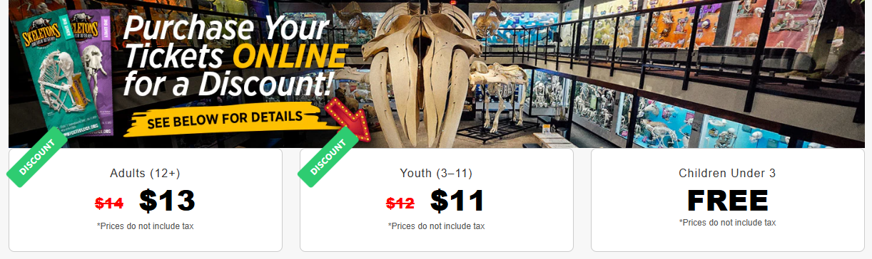 Ticket pricing infographic with decorative skeleton imagery around it