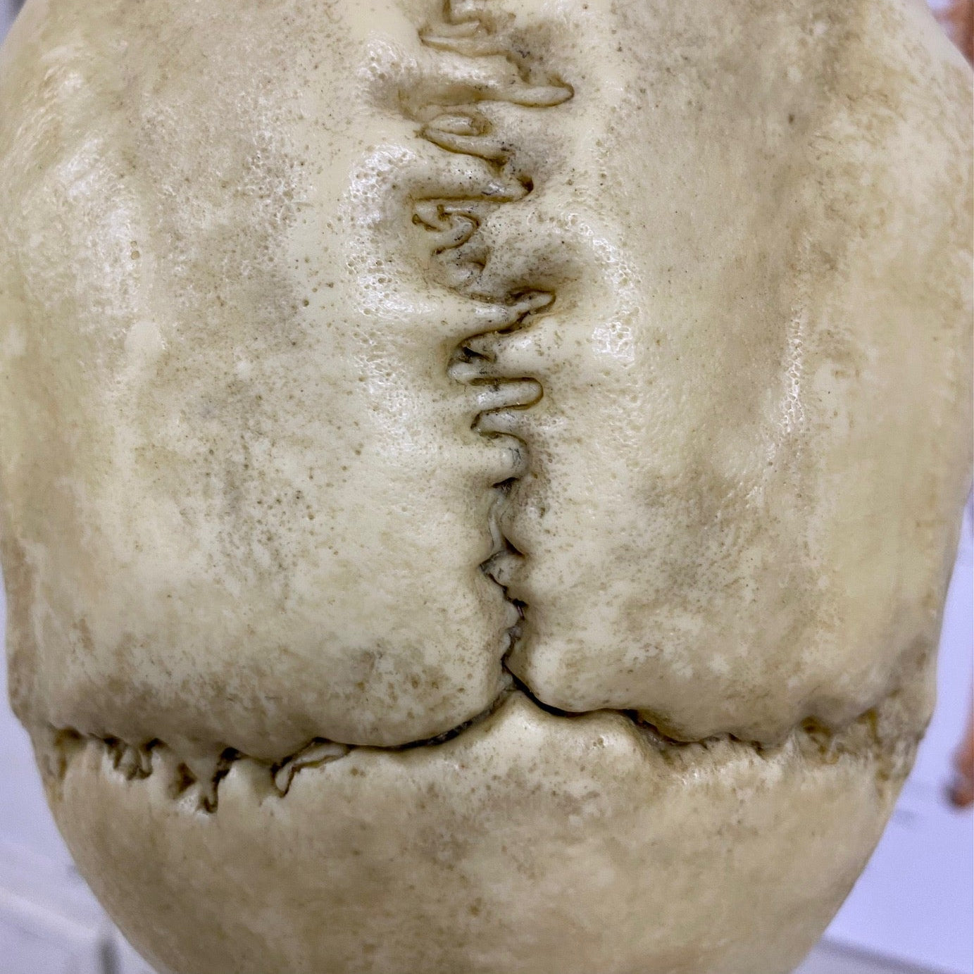 Forensic Pathology Night