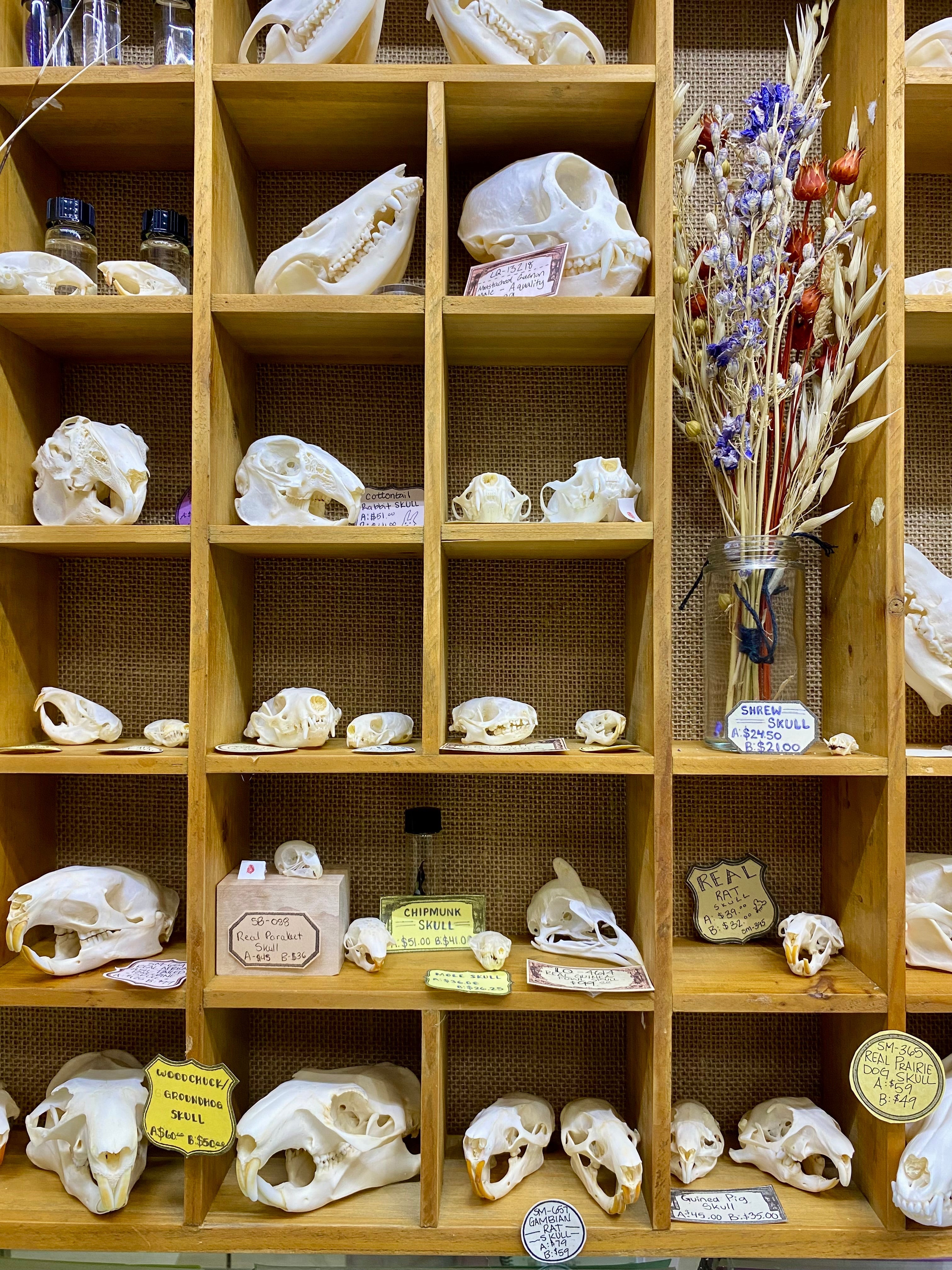 The Greatest Gift Store in OKC