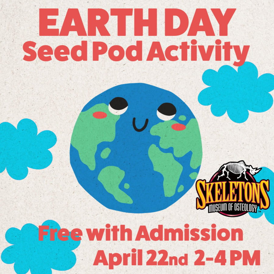 Free Earth Day Seed Pod Activity