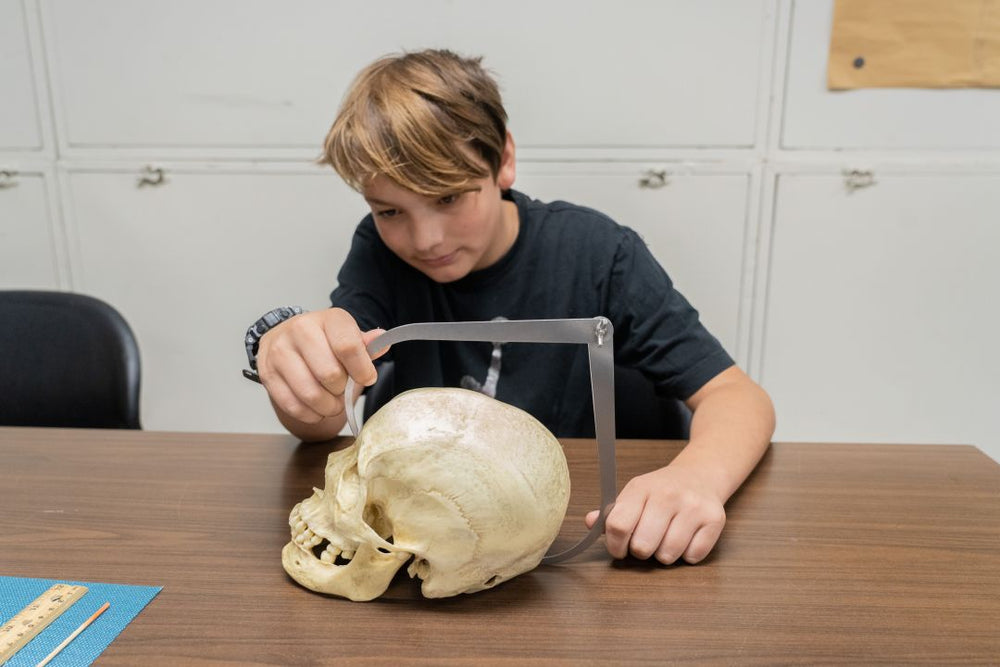 Owl Pellet Dissection Classes – SKELETONS: Museum of Osteology