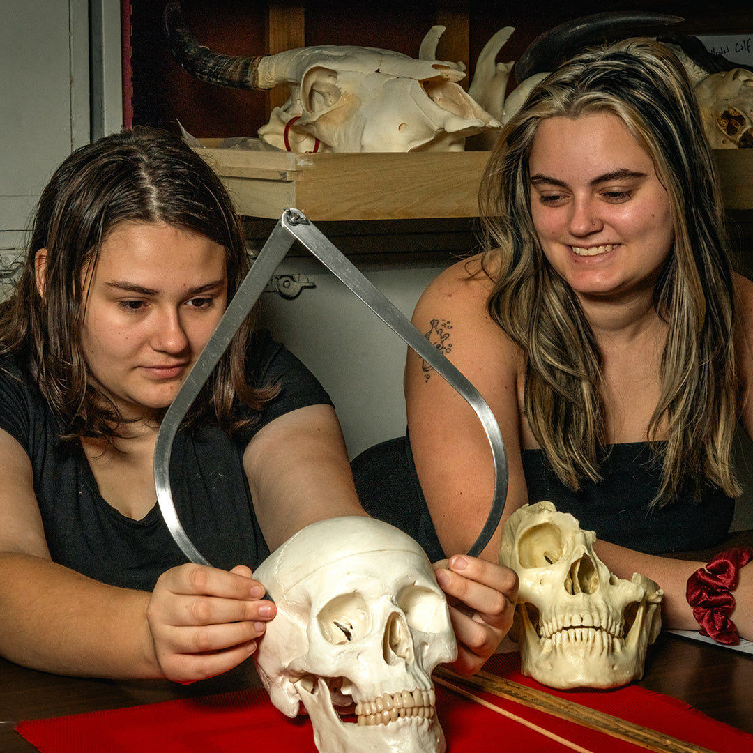 Halloween Forensic Night Event