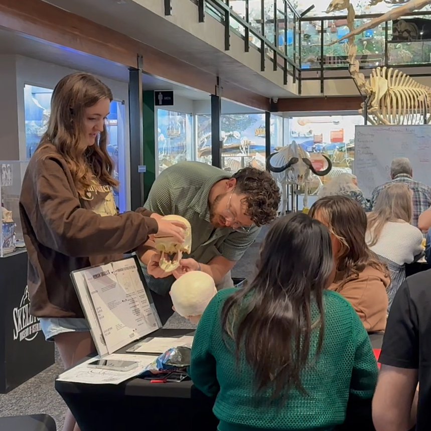 Group of people examining animal skeletons in a museum setting