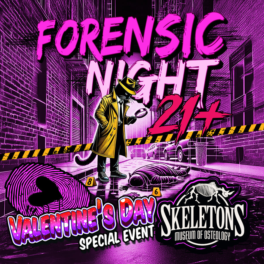 Forensic Night 21+ Valentines Event 