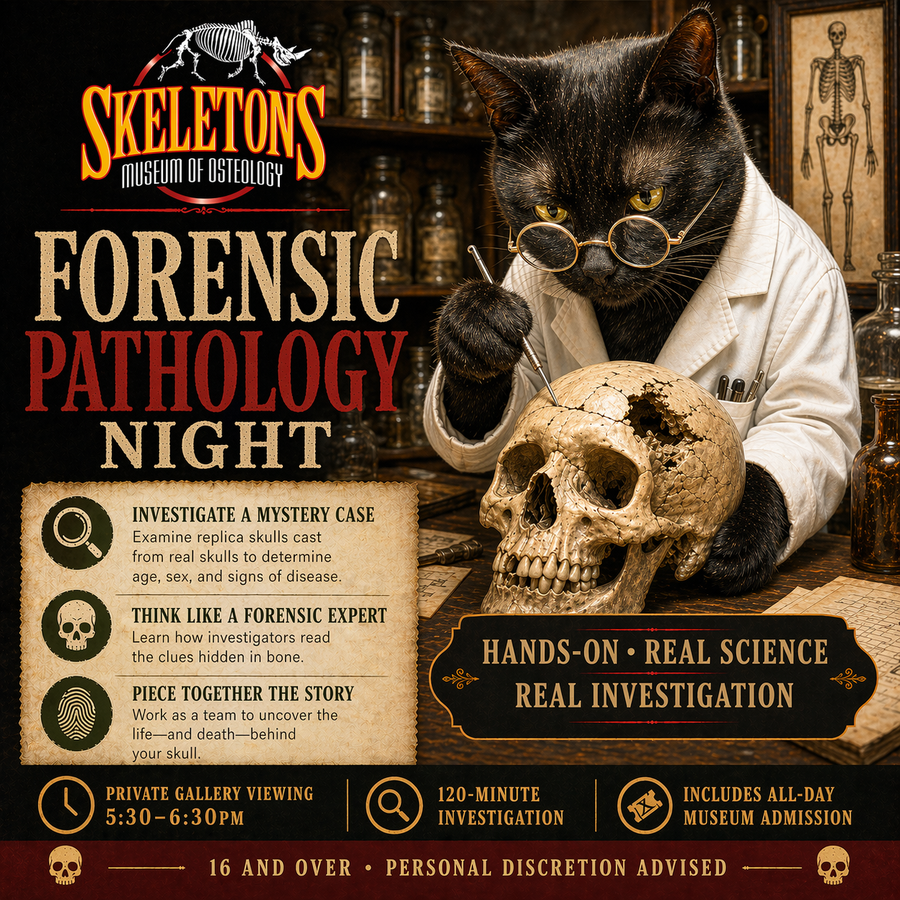 Forensic Pathology Night