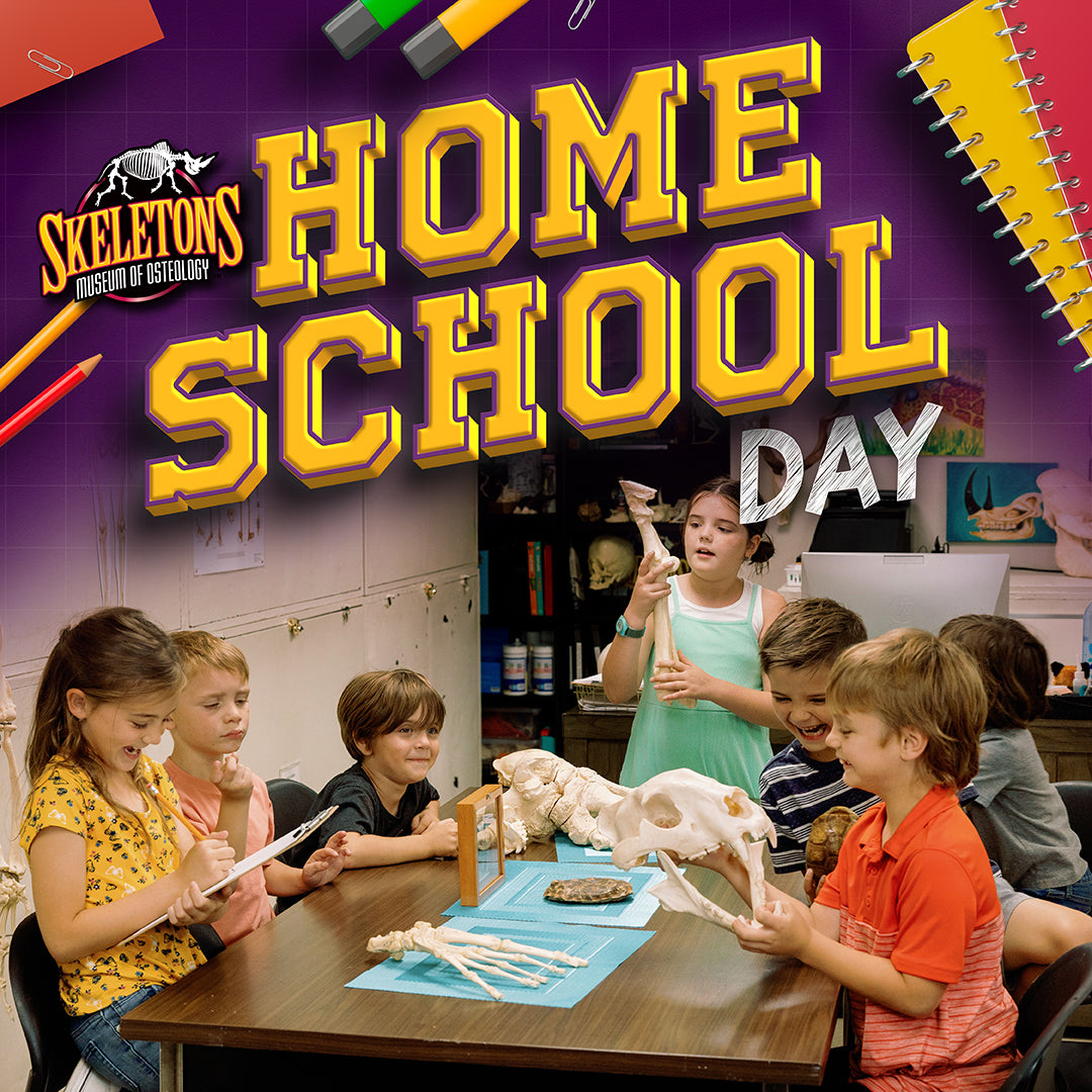 Homeschool Day - To Tell the Tooth & Keys to Identification Classes