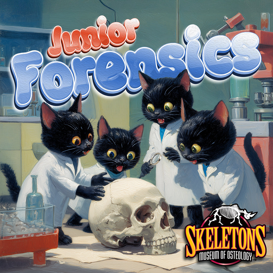 Junior Forensics – SKELETONS: Museum of Osteology