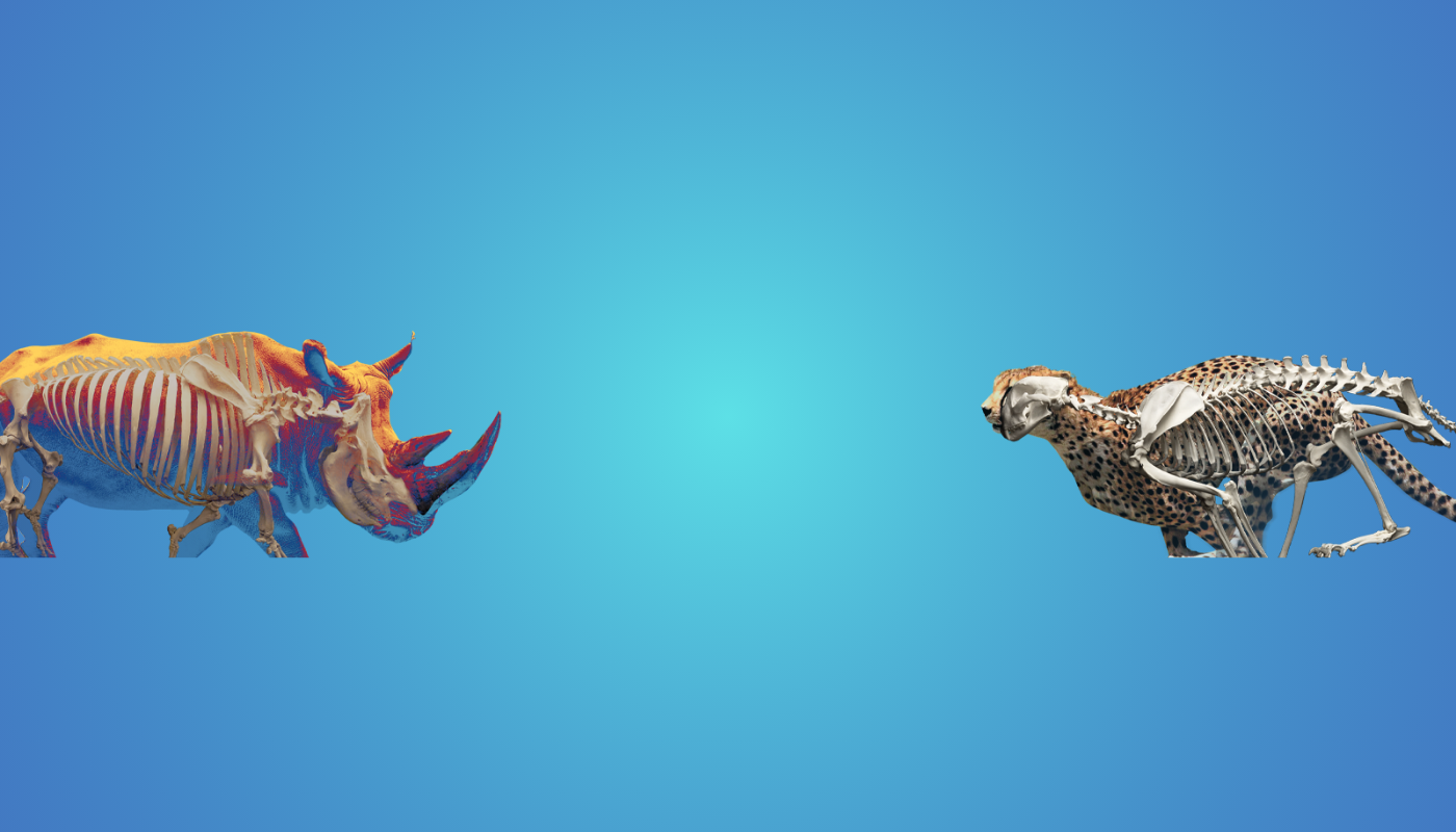 Desktop Title Banner