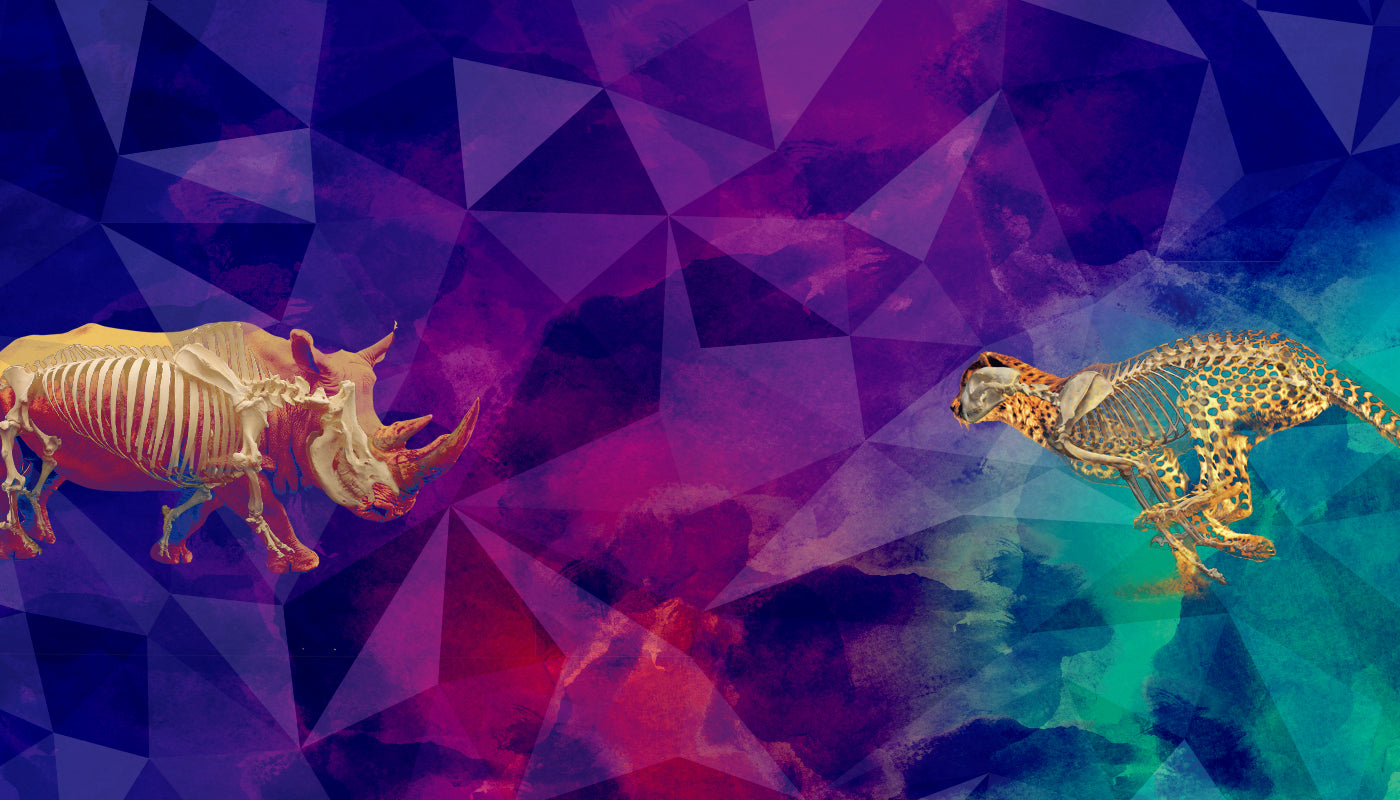 Geometric abstract design with rhino and jaguar skeletons on a colorful background