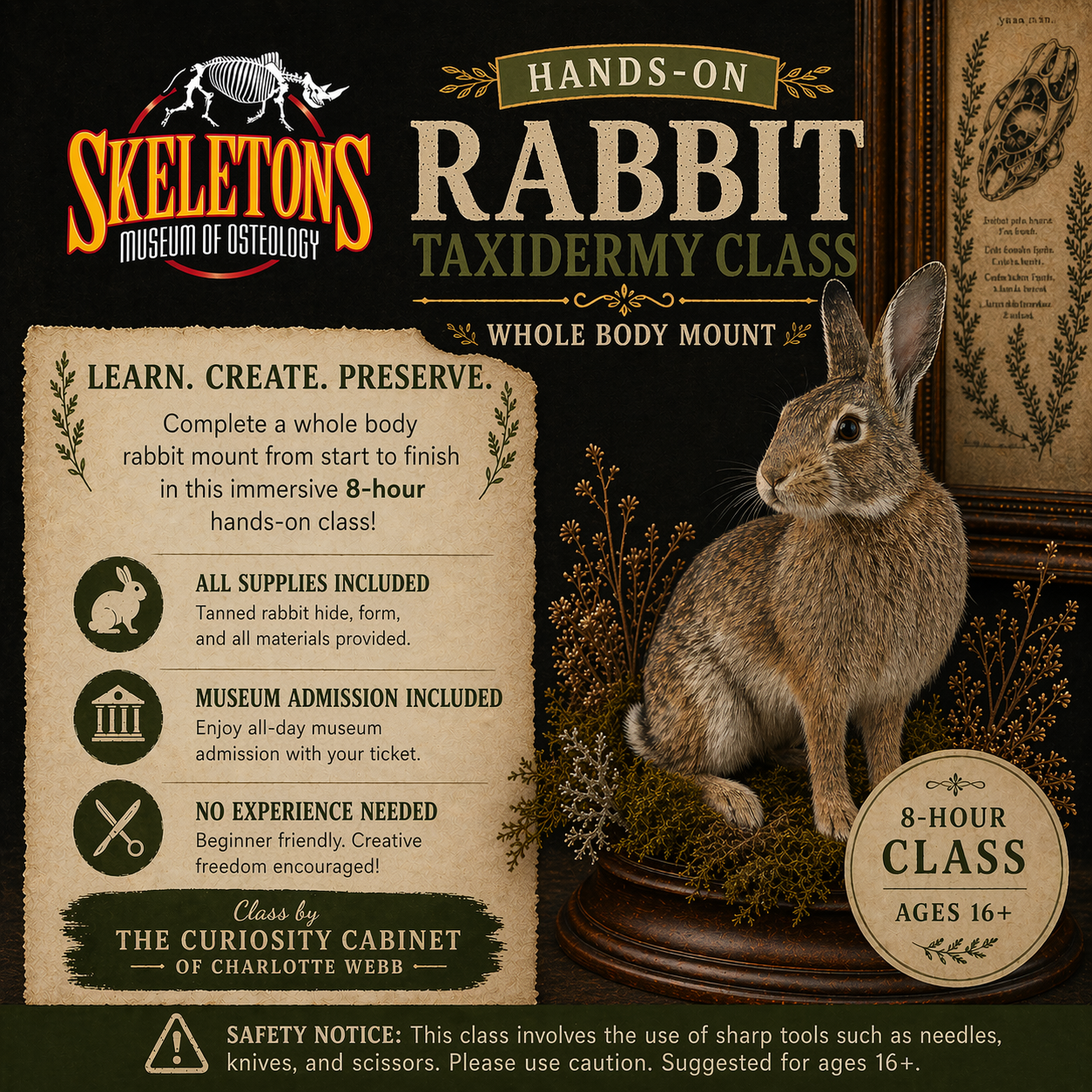 Advertisement for a rabbit taxidermy class with a whole body mount and educational text.