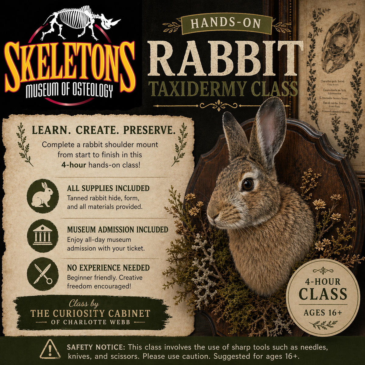 Taxidermy Class - Rabbit Shoulder Mount – SKELETONS: Museum of Osteology