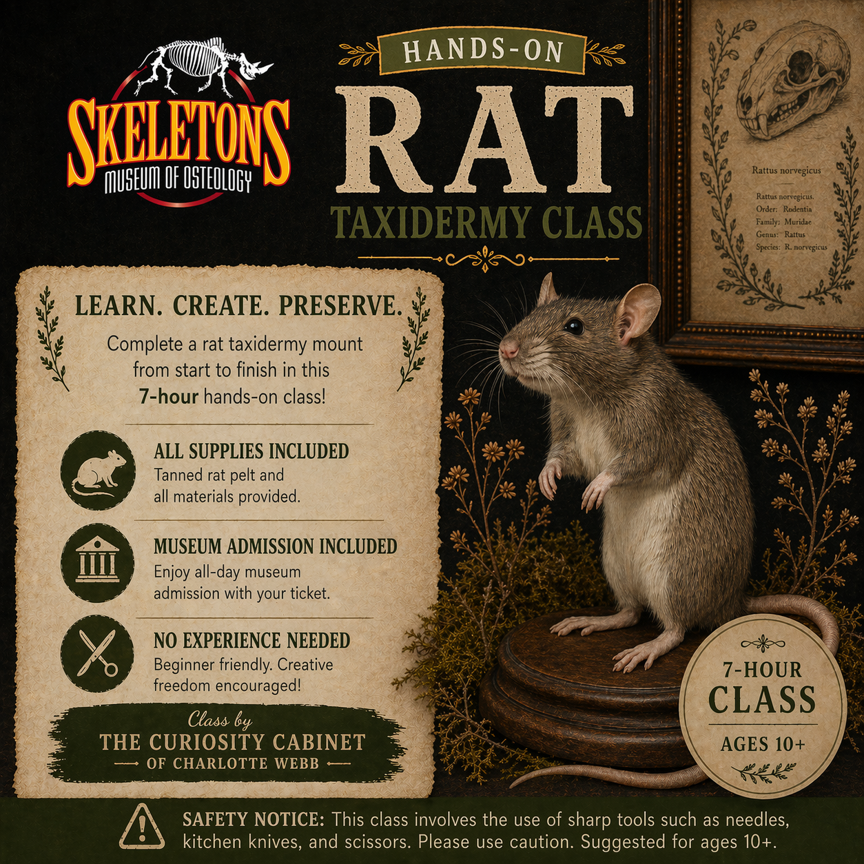 Advertisement for a rat taxidermy class at Skeleton's Museum of Osteology with a taxidermied rat and educational text.