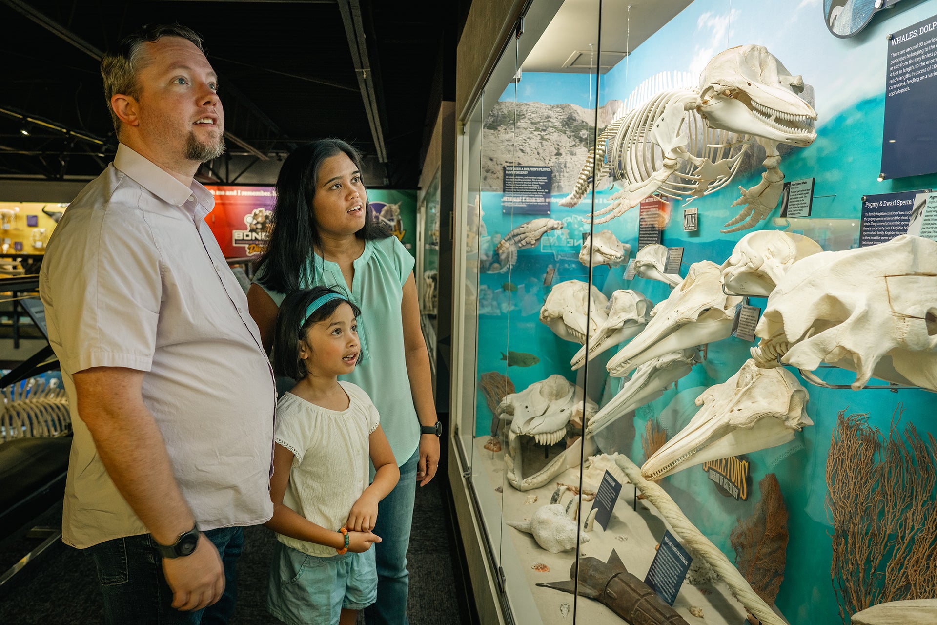 Family looking at a display of animal skeletons in a museum