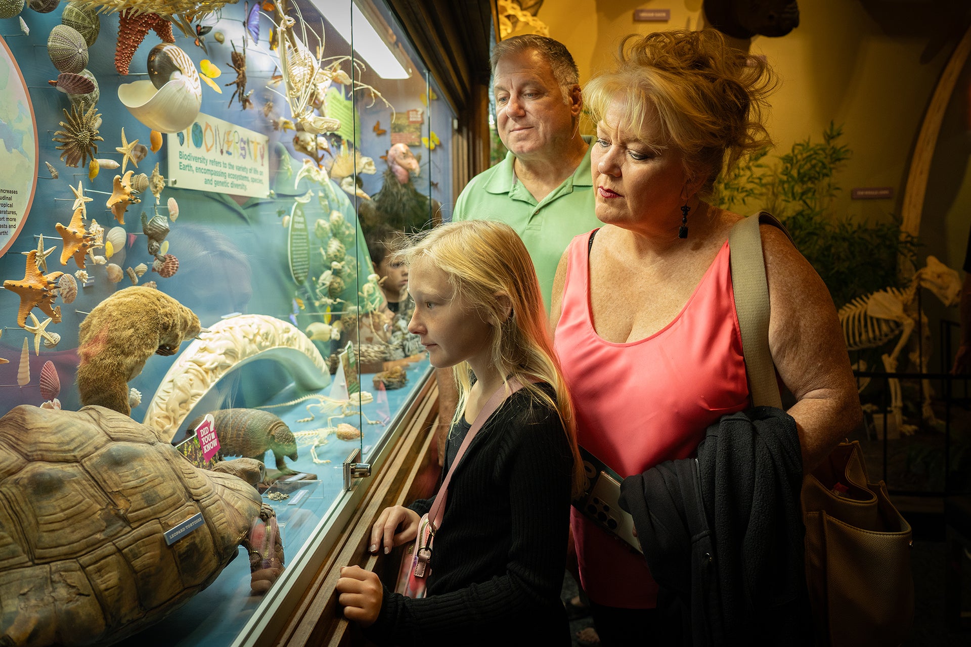 Family looking at a museum display with various sea creatures.