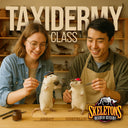 Two people in a taxidermy class with small animals and tools, featuring the Skeletons Museum of Osteology logo.