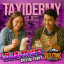 Taxidermy Class - Rat