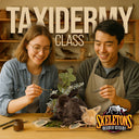 Taxidermy Class - Rabbit Shoulder Mount