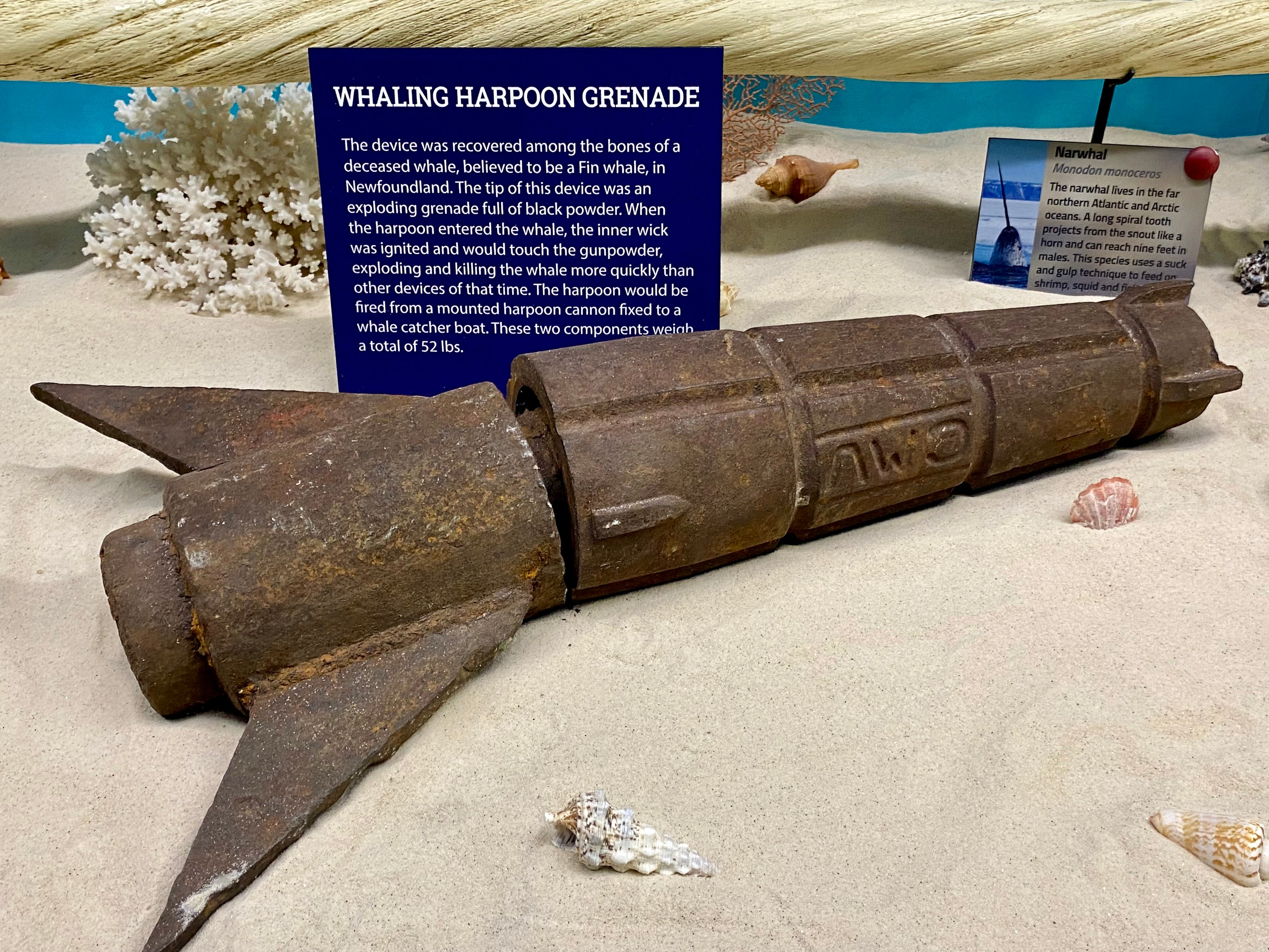 A large whaling harpoon grenade