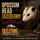 Promotional graphic for a taxidermy class featuring an opossum mounted on a wooden wall plaque, with large text reading 'OPOSSUM HEAD TAXIDERMY' and '5-HOUR HANDS-ON CLASS.' The Skeletons Museum of Osteology logo appears at the bottom left, with tools and materials on a workbench in a dark workshop setting.