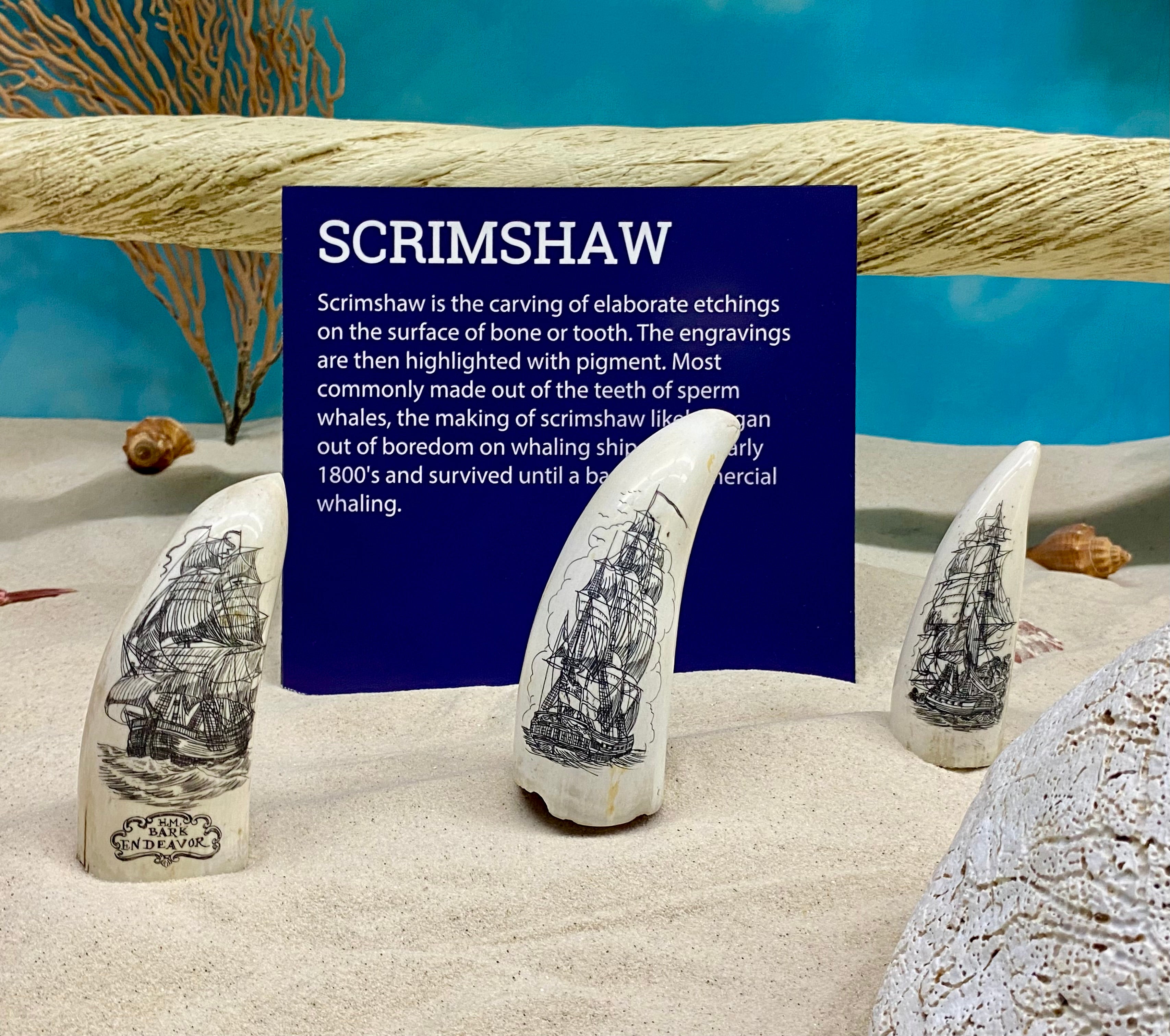 Scrimshaw ships carved into teeth.