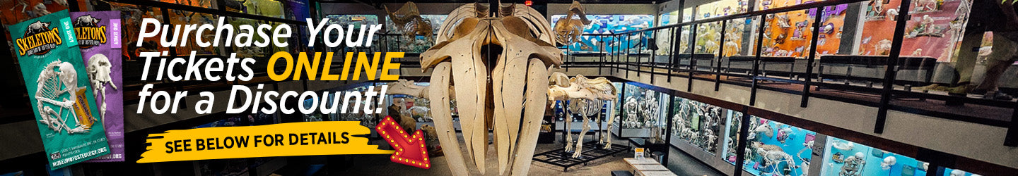 Purchase Your Tickets Online for a Discount